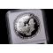 Exploring American Silver Eagle Key Dates & Varieties