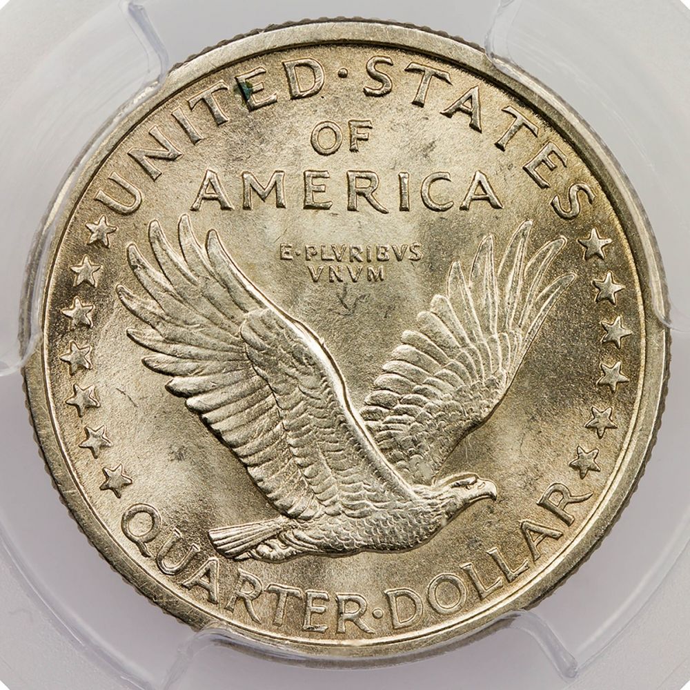 1917 P Type 1 Standing Liberty Quarter Ms65 Full Head Rare Collectibles Tv,Big Ants With Wings In House