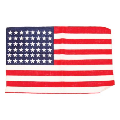 Small 48-Star American Flag, 11 x 17 inches 